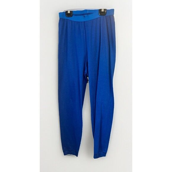 PATAGONIA Women's XL Performance Capilene Base Layer Pants Blue Midweight.    X - Picture 1 of 4